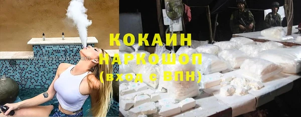 гидра Алексеевка