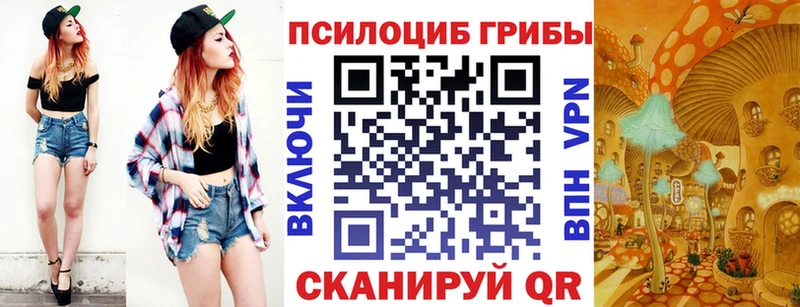 Псилоцибиновые грибы Cubensis  Тобольск 