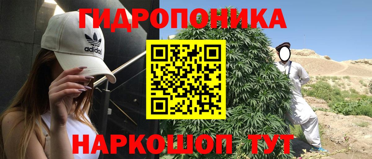 Тобольск  Шишки марихуана конопля  Канабис планчик  Бошки марихуана семена  Канабис индика  Вход с VPN 